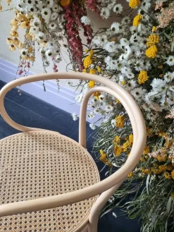 209 Armstol, bøg fra Thonet