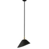 Ceiling Lamp Bookshelves af Serge Mouille