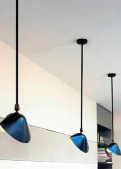 Ceiling Lamp Bookshelves af Serge Mouille