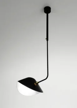 Ceiling Lamp Bookshelves Curved af Serge Mouille