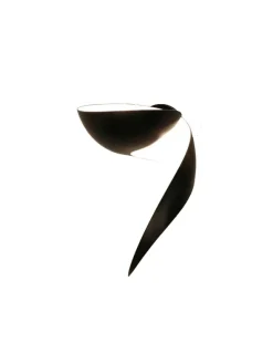 Flame Small Wall Lamp af Serge Mouille