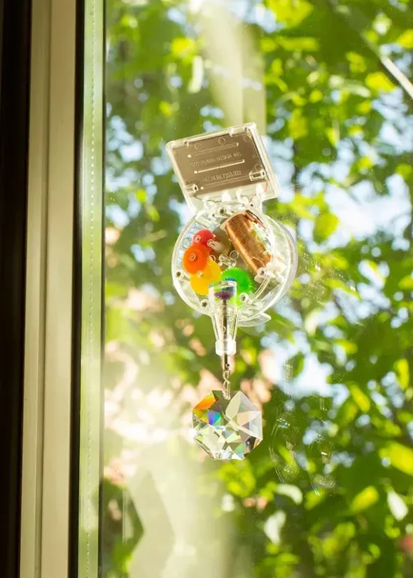 Rainbowmaker, hanging fra Kikkerland