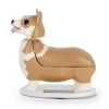 Solar Corgi fra Kikkerland