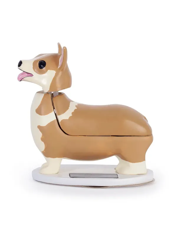 Solar Corgi fra Kikkerland