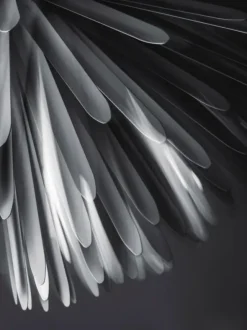 Sun - Light of Love Pendel fra Foscarini
