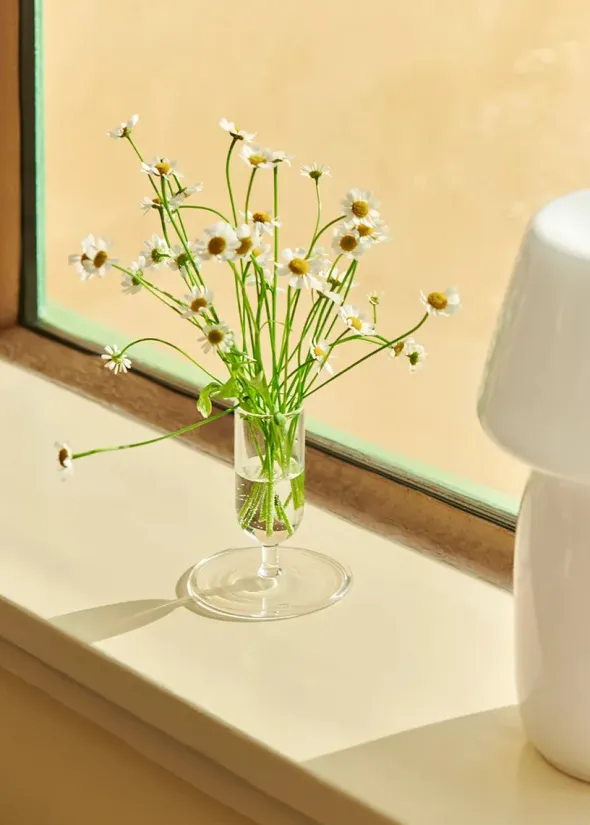 Tiny Vase fra Hay